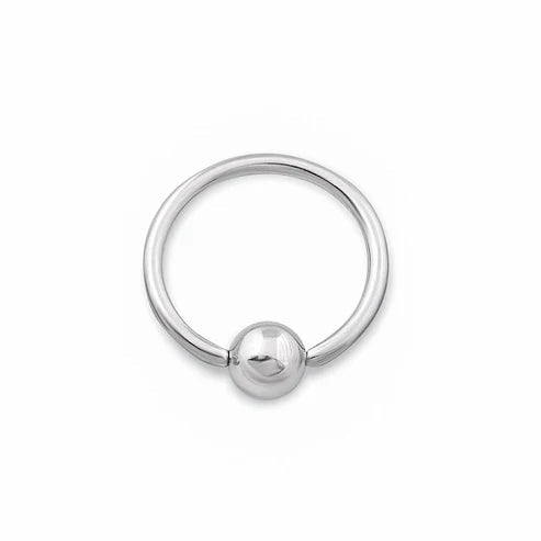 Stainless Steel Captive Bead Ring Painful Pleasures