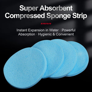 OG Single Use Compressed Sponge Strip