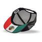 Dynamic Trucker Hat Mexico