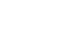 Dynamic Color