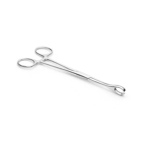 Forester Sponge 7" Slotted Steel Forceps Painful Pleasures
